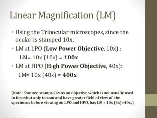 hpo magnification|1.4: Microscopy .